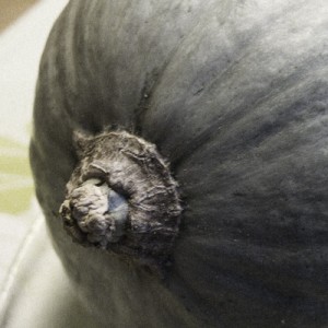 20091016_kl1654w