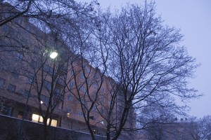 20100112_kl0818w